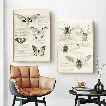 קלאסי סקיצה מחקרים כרזות קיר אמנות בד ציור השלד חרקים, צמחים הדפסה עבור הסלון בבית Frameless