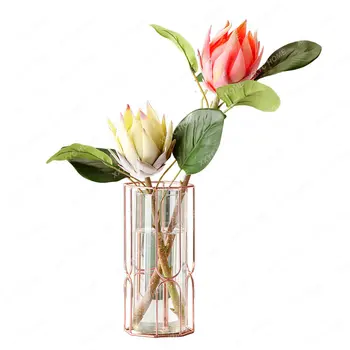 סידור פרחים לקישוט קישוט ברזל יצוק אגרטל זכוכית גבוה הגיוני הסלון פשוט אלקטרוליטי מיובשים לצמחים.
