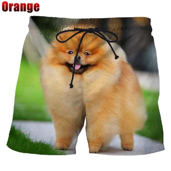 אופנה קיץ כלב פומרניין מכנסיים קצרים של הגברים חוף מכנסיים מזדמנים מכנסיים קצרים